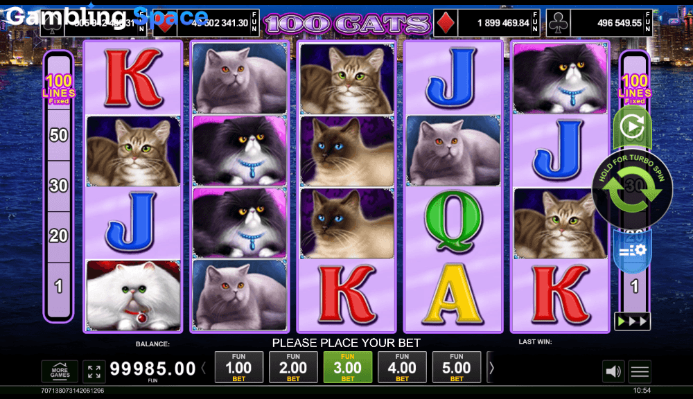 100 Cats – Screenshot 6