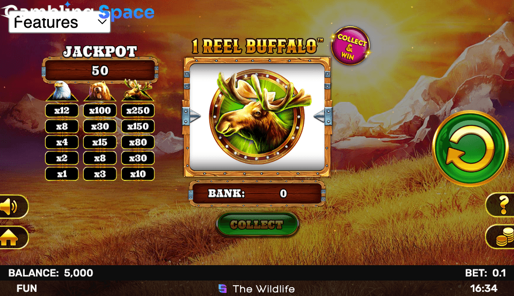 1 Reel Buffalo – Screenshot 2
