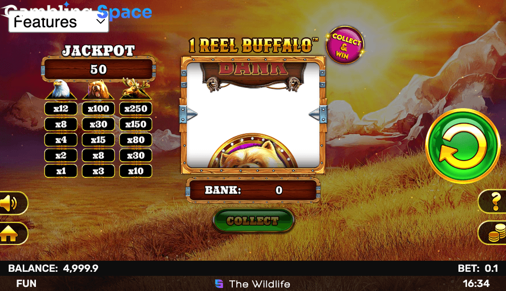 1 Reel Buffalo – Screenshot 3