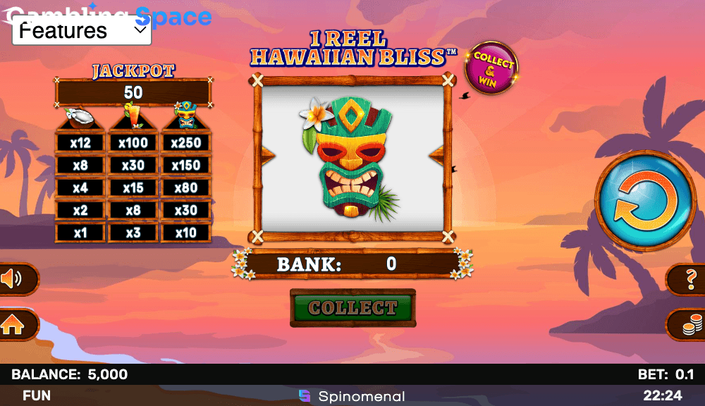 1 Reel Hawaiian Bliss – Screenshot 2