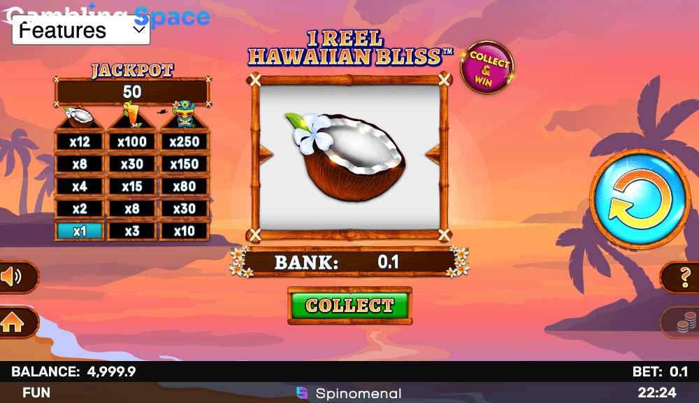 1 Reel Hawaiian Bliss – Screenshot 3
