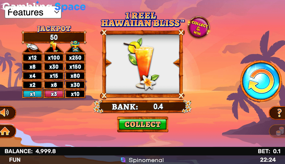 1 Reel Hawaiian Bliss – Screenshot 4