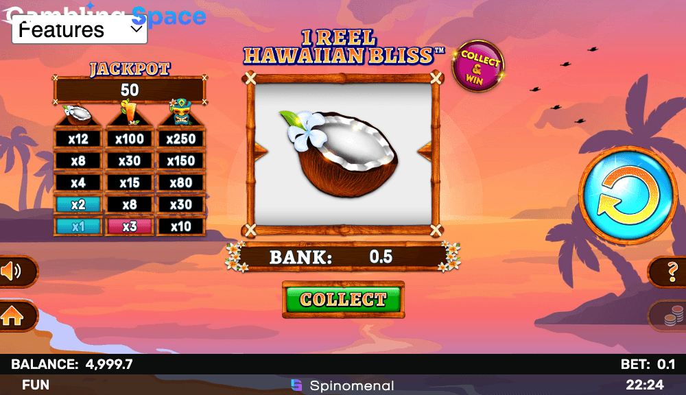 1 Reel Hawaiian Bliss – Screenshot 5