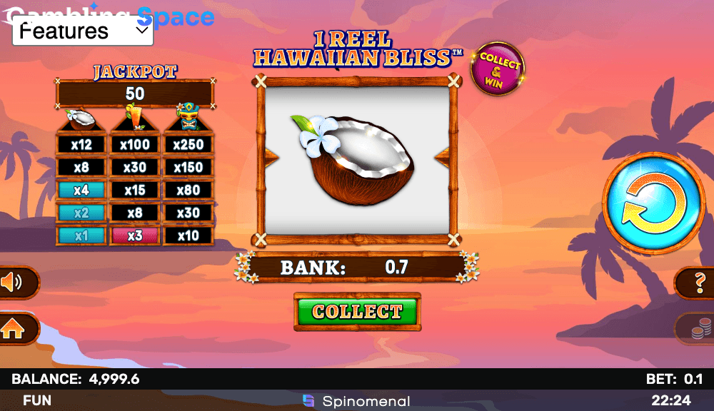 1 Reel Hawaiian Bliss – Screenshot 6