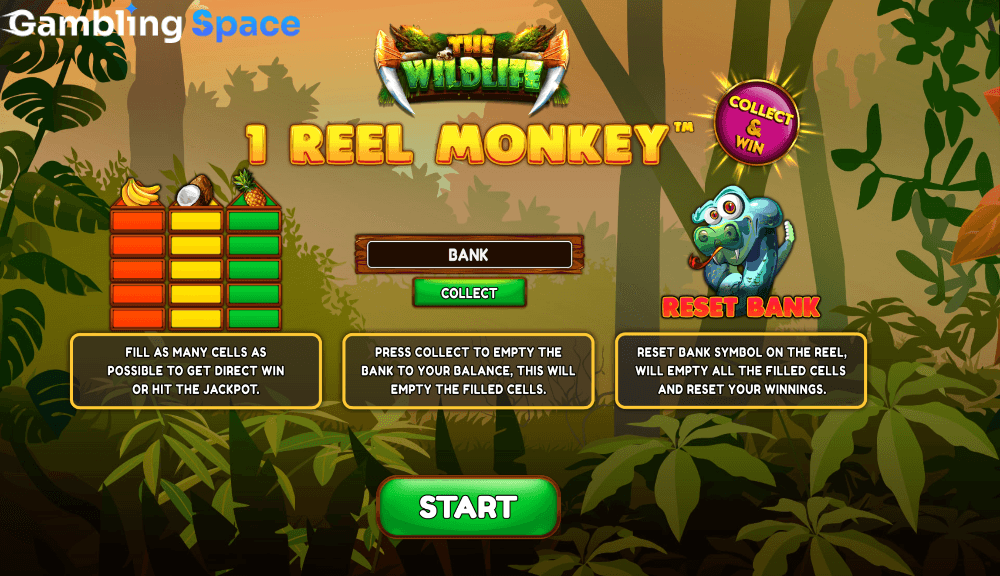 1 Reel Monkey – Screenshot 1