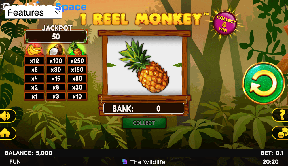 1 Reel Monkey – Screenshot 2
