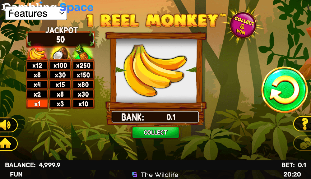1 Reel Monkey – Screenshot 3