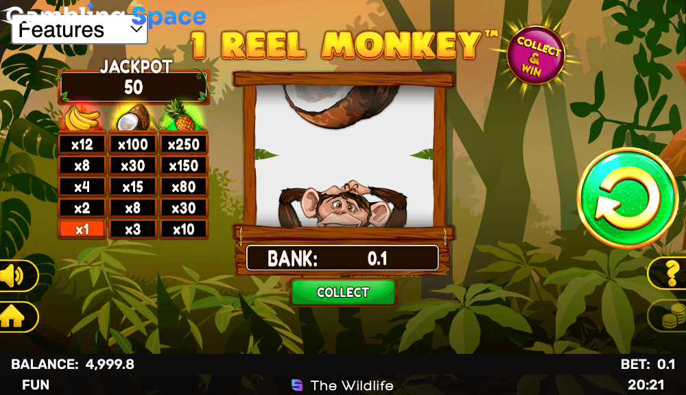 1 Reel Monkey – Screenshot 4