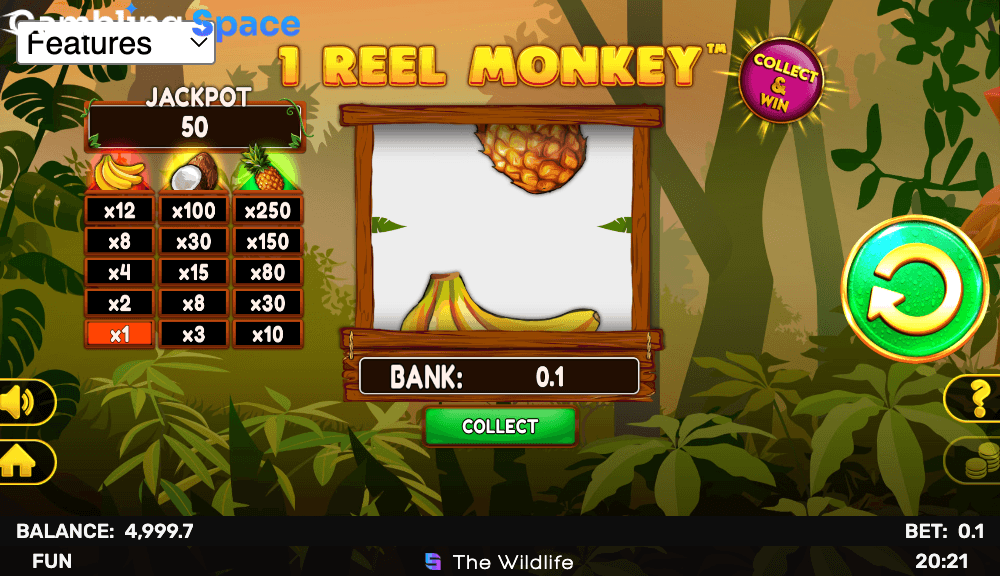 1 Reel Monkey – Screenshot 5