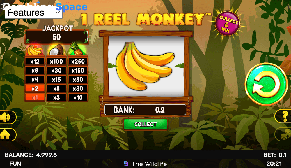 1 Reel Monkey – Screenshot 6