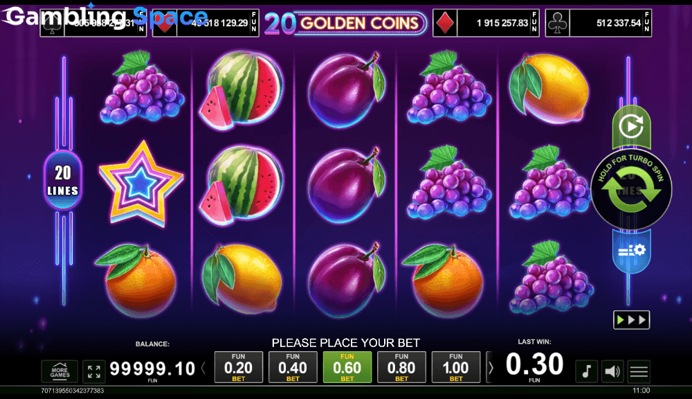 20 Golden Coins – Screenshot 3