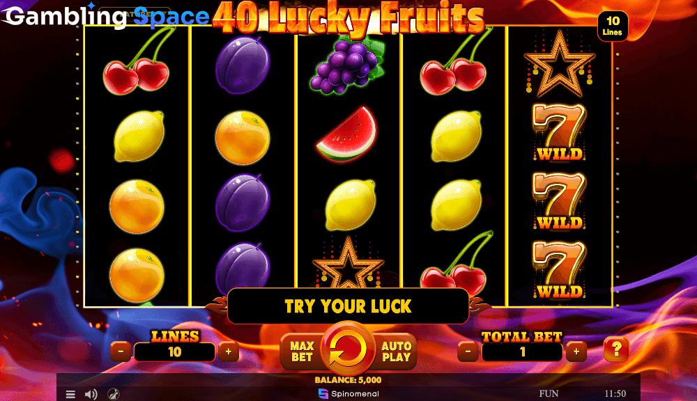 40 Lucky Fruits – Screenshot 1