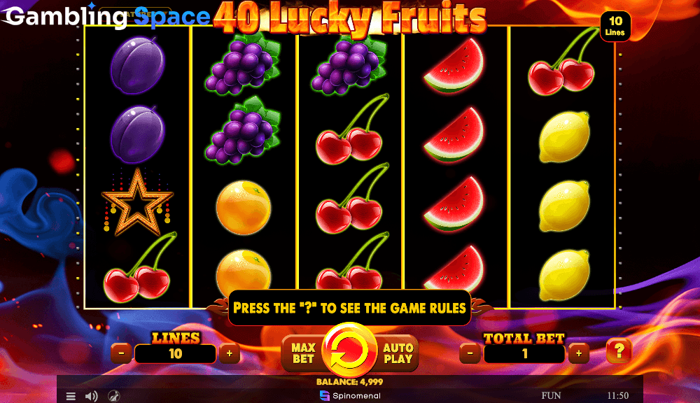 40 Lucky Fruits – Screenshot 2