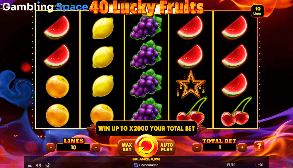 40 Lucky Fruits – Screenshot 3