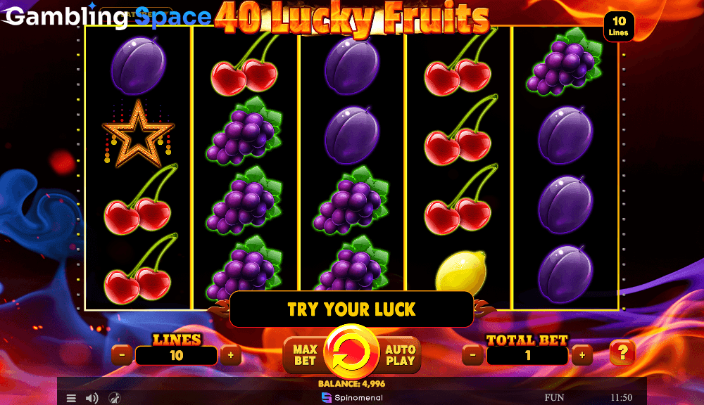 40 Lucky Fruits – Screenshot 5