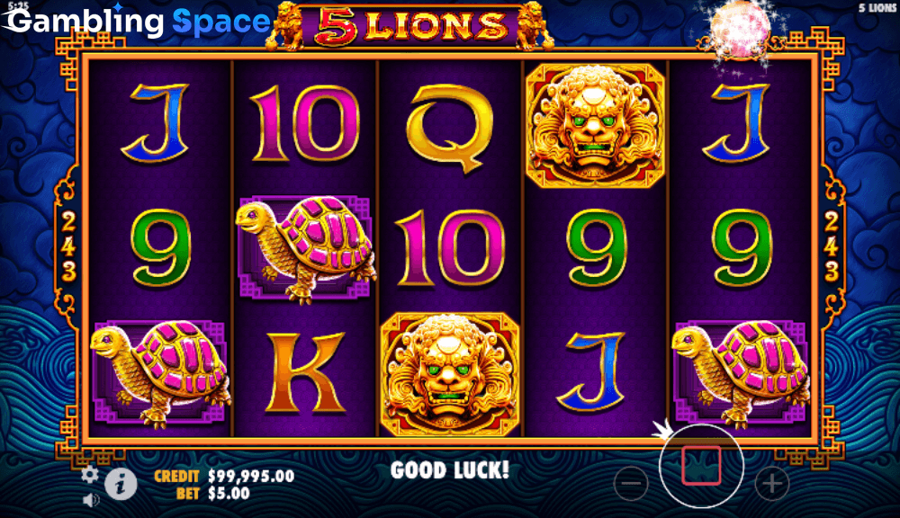 5 Lions – Screenshot 3