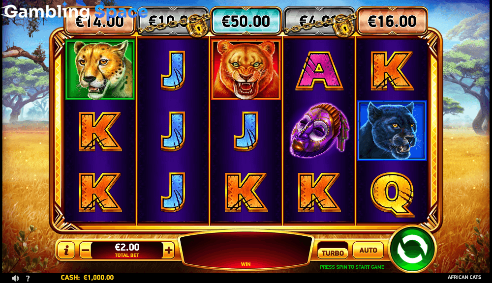 African Cats – Screenshot 2