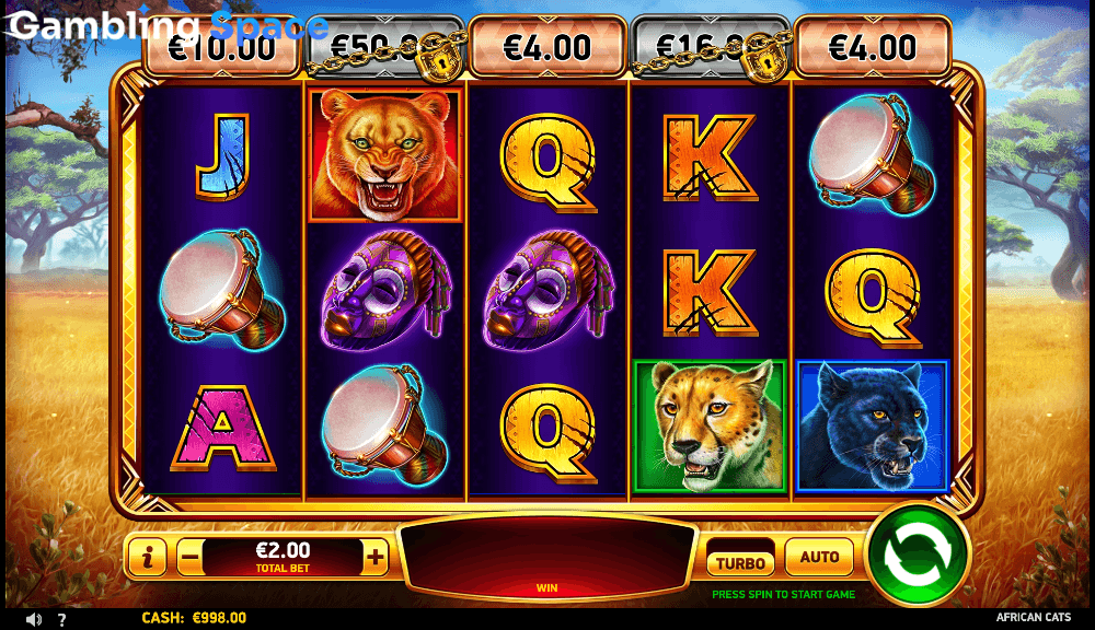 African Cats – Screenshot 3