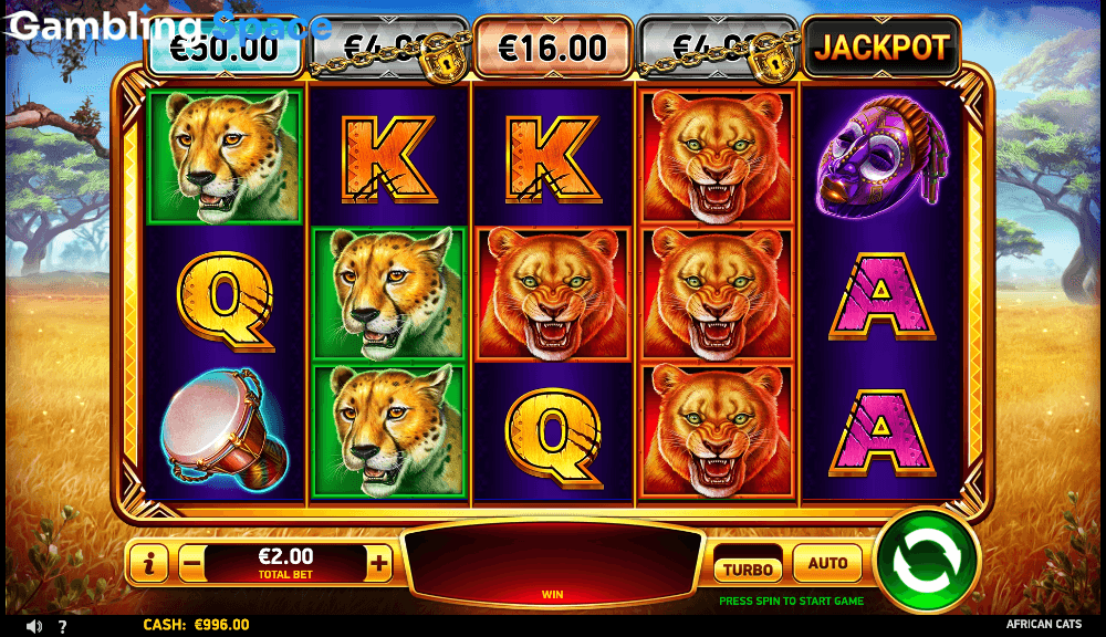 African Cats – Screenshot 4