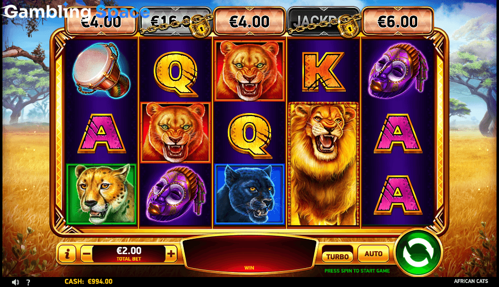 African Cats – Screenshot 5