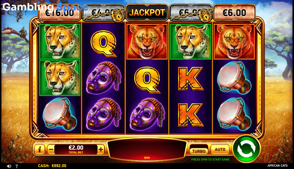 African Cats – Screenshot 6
