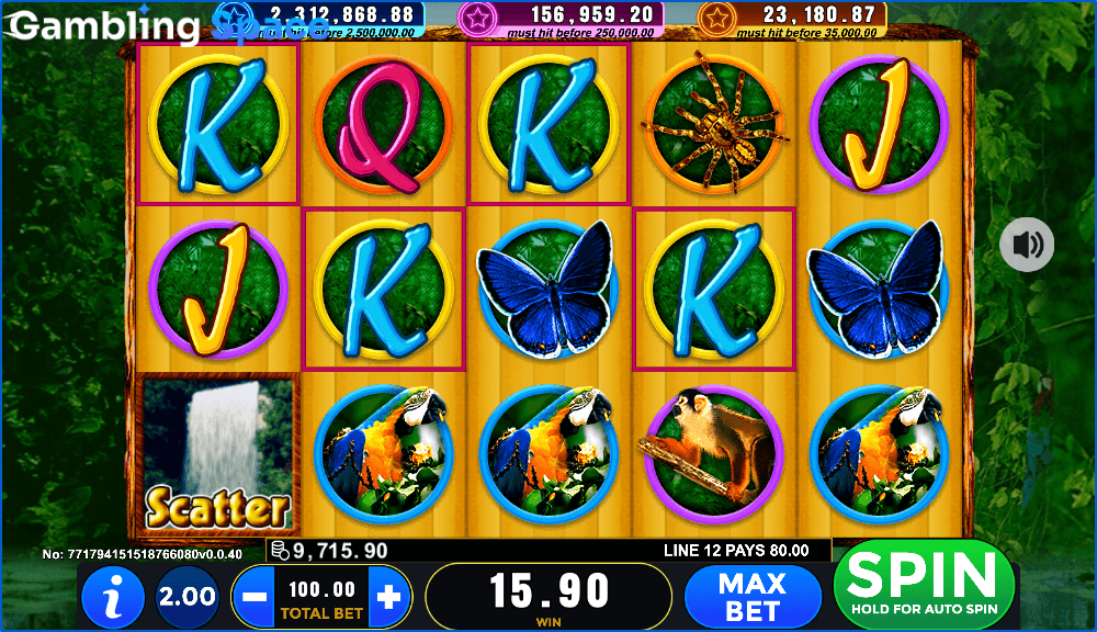 Amazon Fever – Screenshot 4