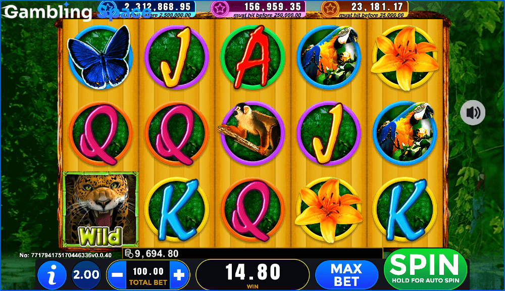 Amazon Fever – Screenshot 5