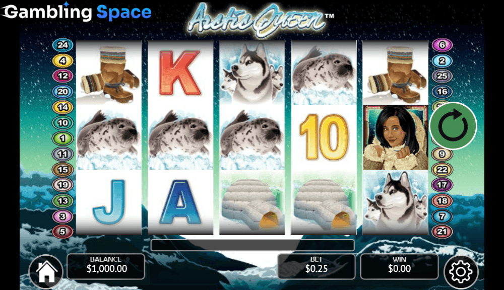 Arctic Queen – Screenshot 1