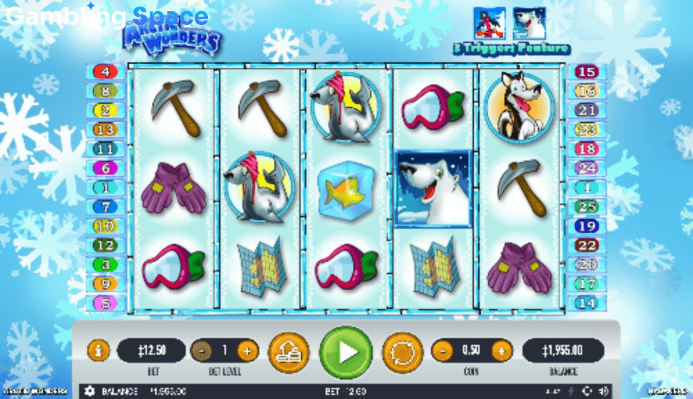Arctic Wonders – Screenshot 5