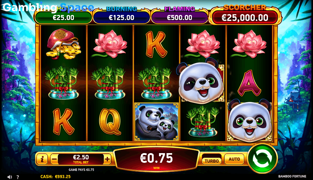 Bamboo Fortune – Screenshot 5