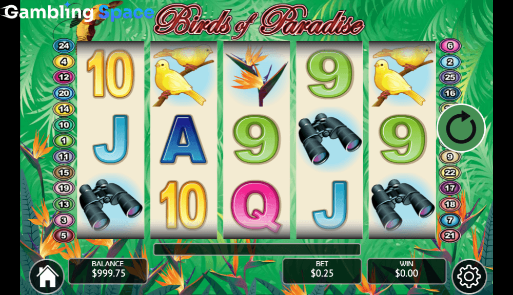 Birds of Paradise – Screenshot 2
