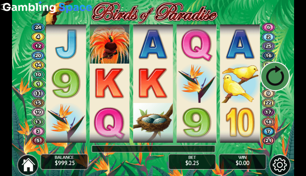 Birds of Paradise – Screenshot 4