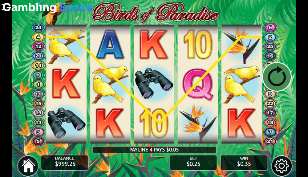 Birds of Paradise – Screenshot 6