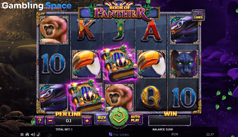 Book of Panther – Screenshot 2