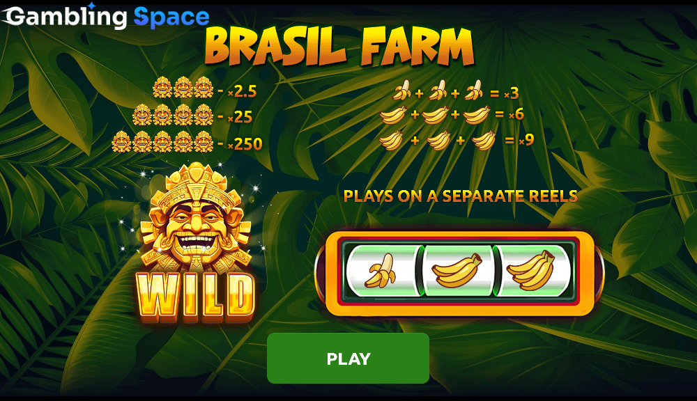 Brasil Farm – Screenshot 1