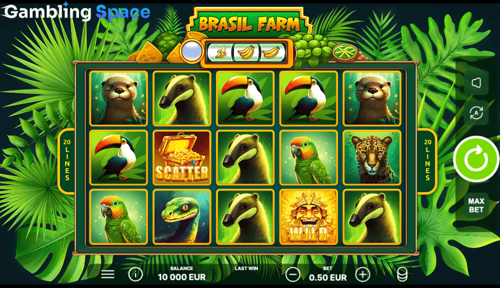 Brasil Farm – Screenshot 2