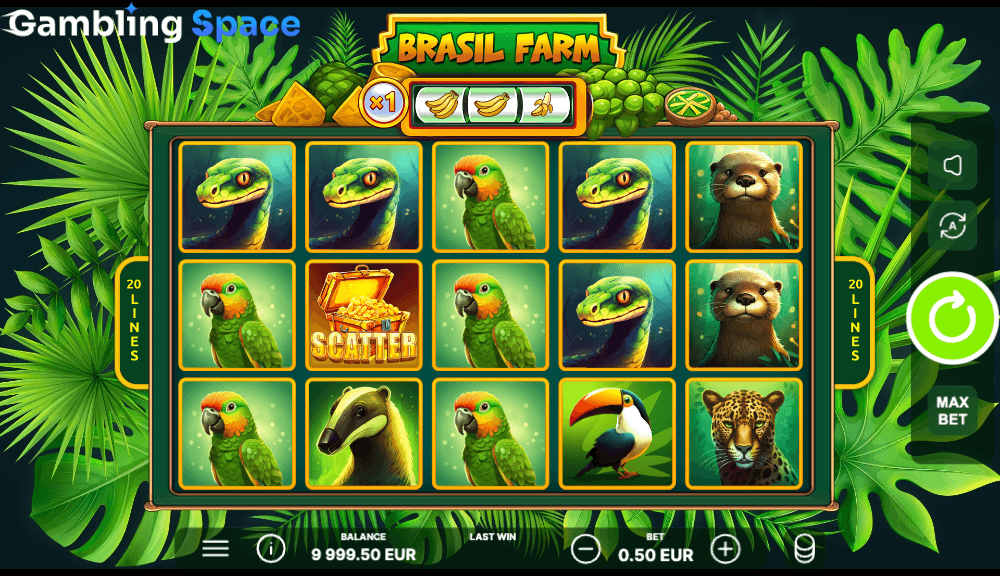 Brasil Farm – Screenshot 3