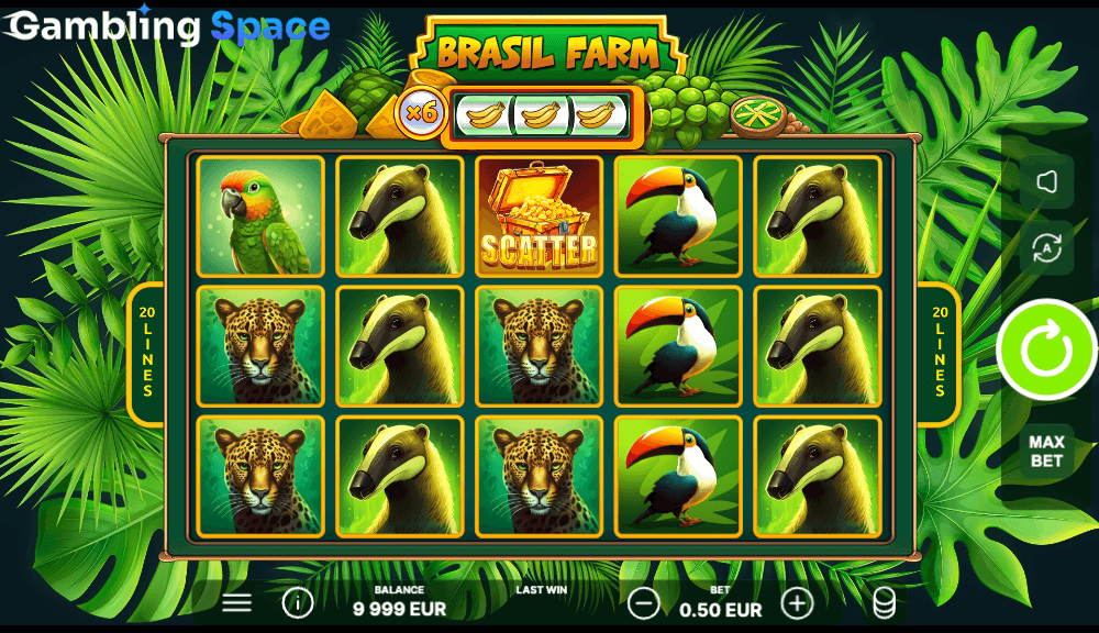 Brasil Farm – Screenshot 4