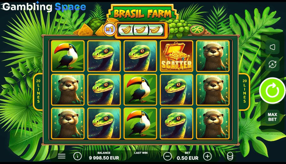 Brasil Farm – Screenshot 5