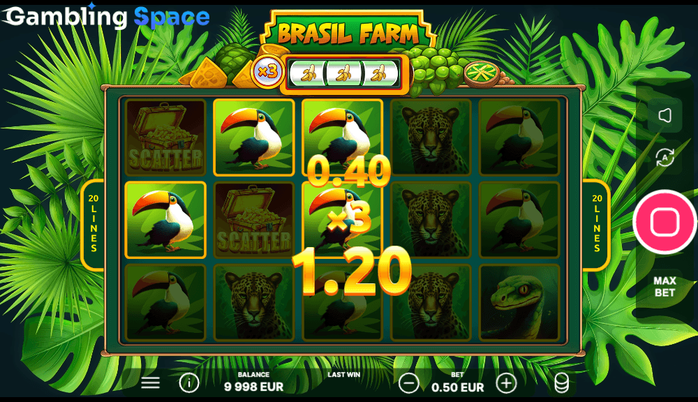 Brasil Farm – Screenshot 6