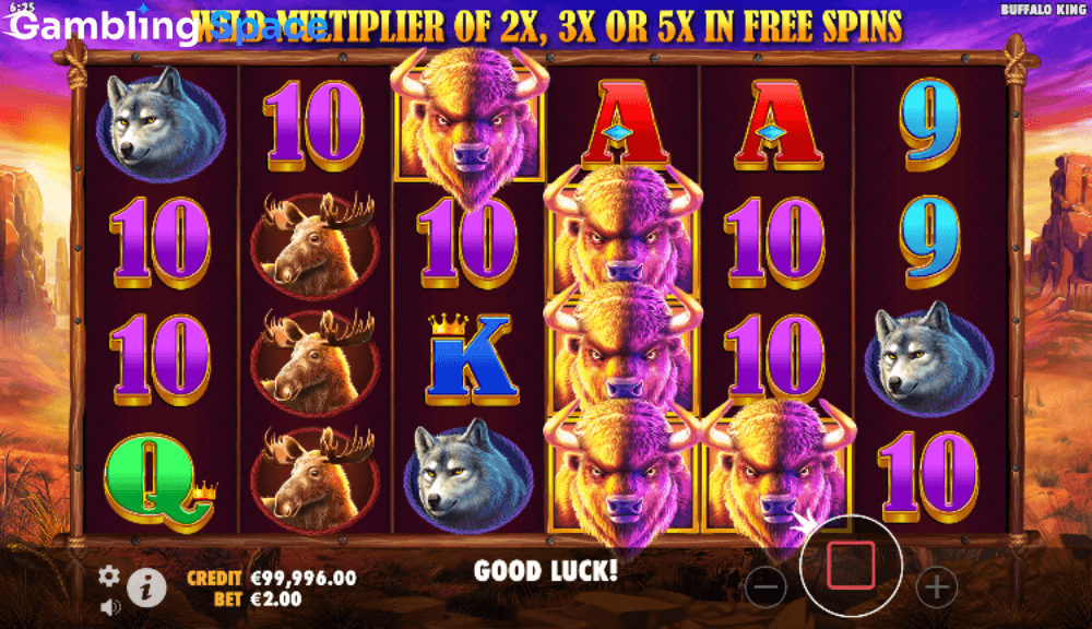 Buffalo King – Screenshot 4