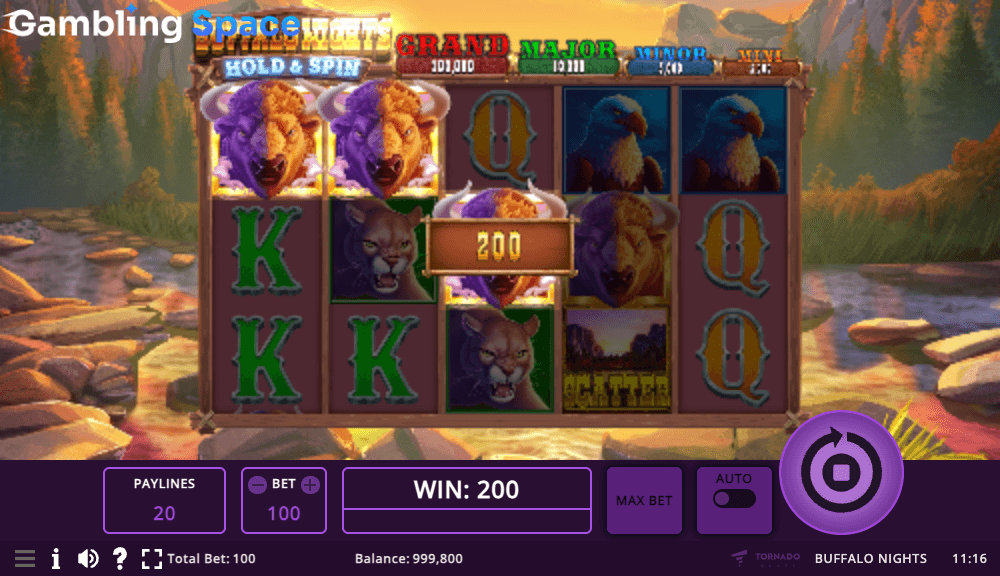 Buffalo Nights Hold & Spin – Screenshot 3