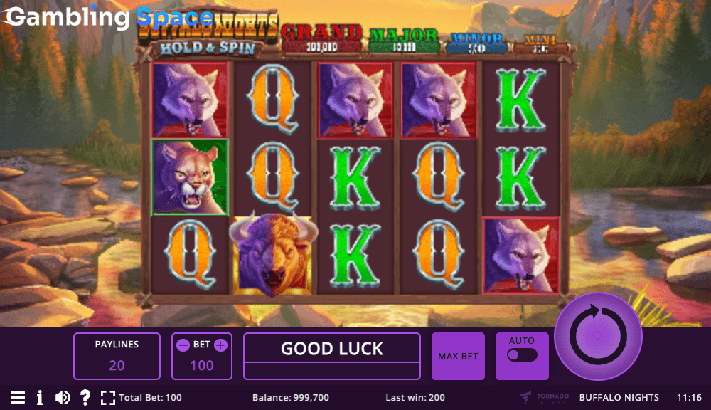 Buffalo Nights Hold & Spin – Screenshot 6