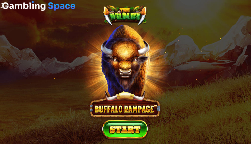 Buffalo Rampage – Screenshot 1