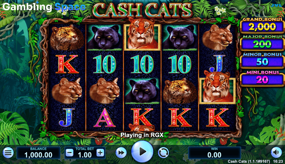Cash Cats – Screenshot 2