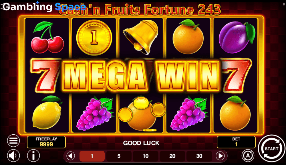 Cash'n Fruits Fortune 243 – Screenshot 3