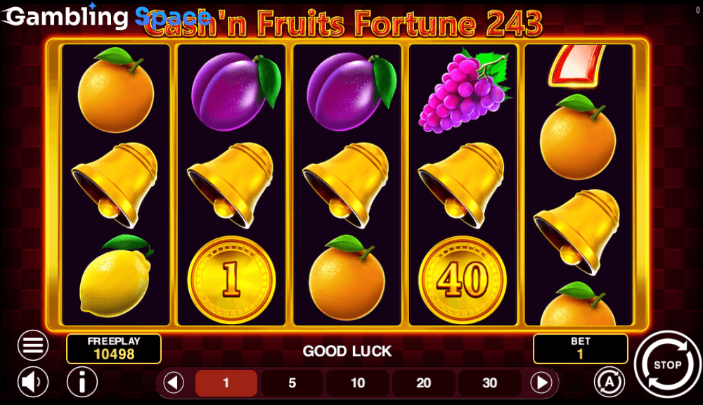 Cash'n Fruits Fortune 243 – Screenshot 5