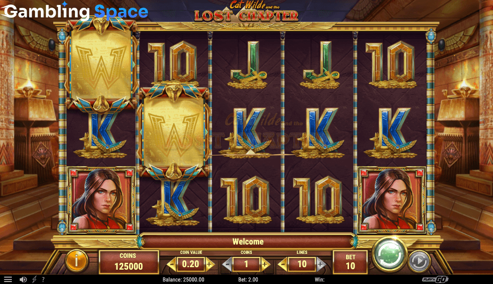 Cat Wilde and the Lost Chapter – Screenshot 2