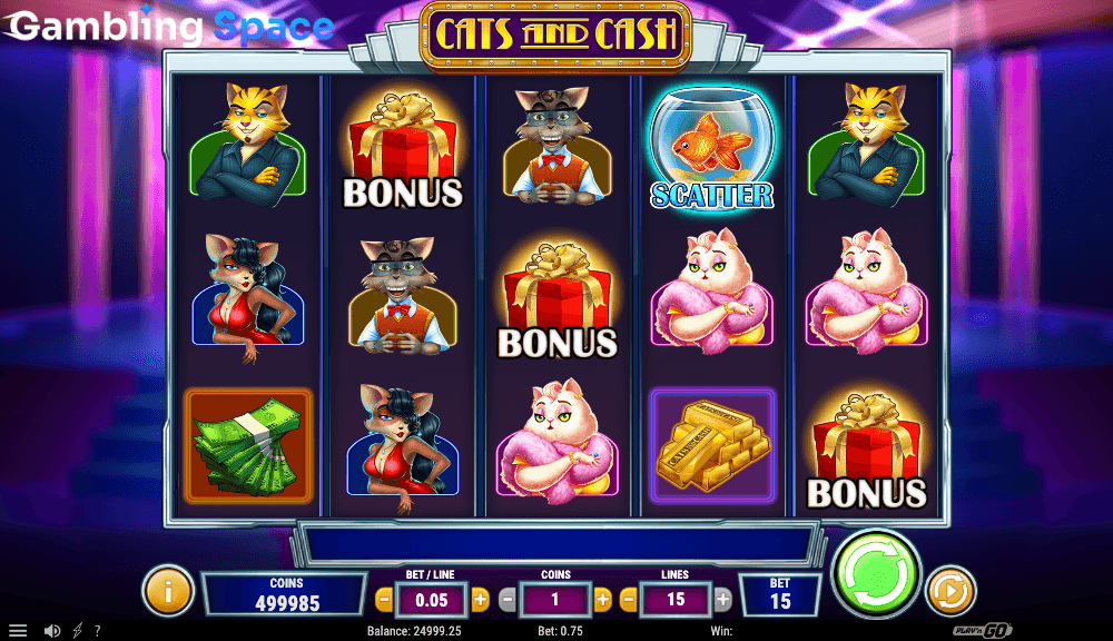 Cats & Cash – Screenshot 3