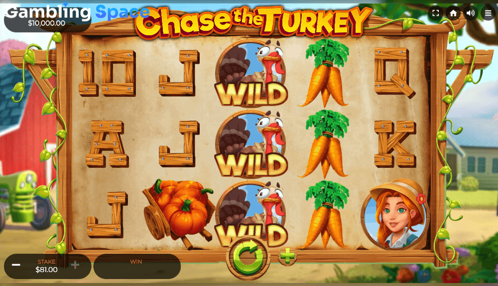 Chase the Turkey – Screenshot 2